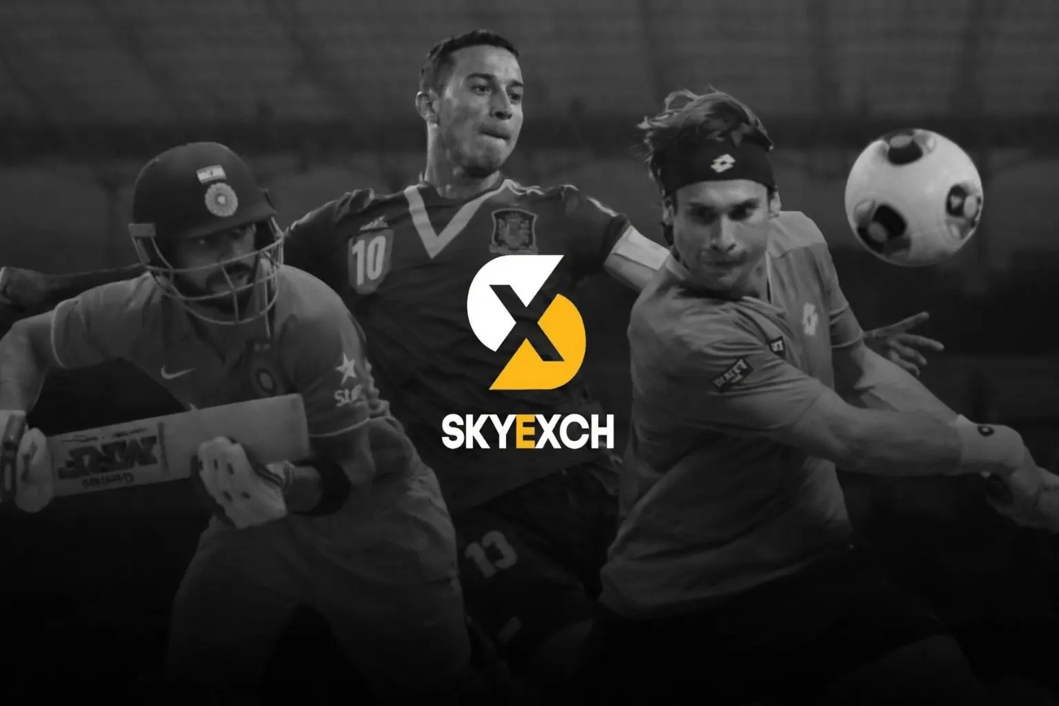 Skyexchange banner